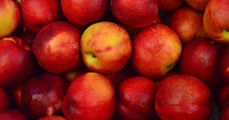 Combien de pommes dans 1 kg ? La réponse va vous surprendre