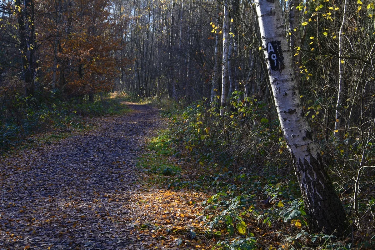 3 erreurs à éviter absolument avec un anneau réfrigérant