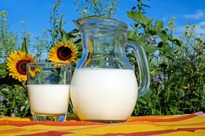Tire-lait manuel efficace et discret : le guide complet 2026
