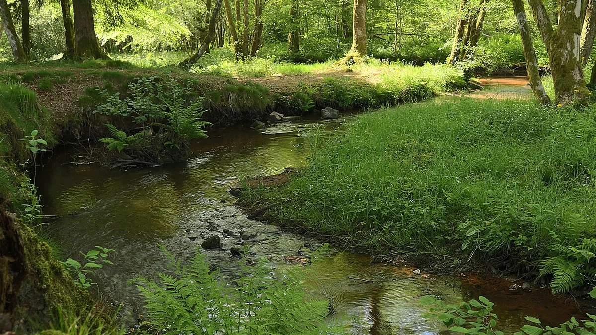 Pourquoi le Morvan attire les cinéastes ?
