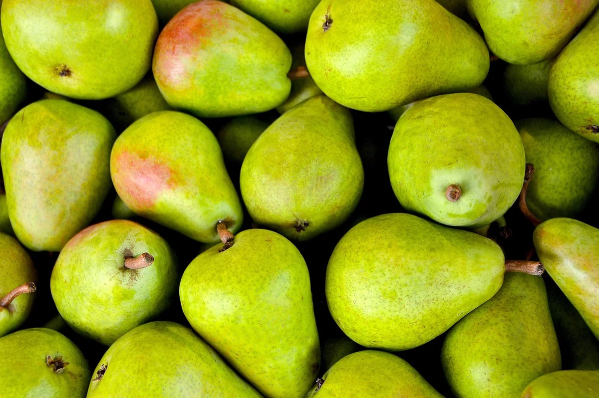 Les produits phares en 2026
